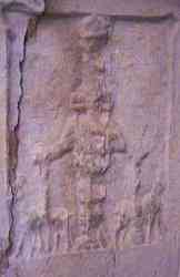 image of diana