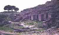 temple of zeus