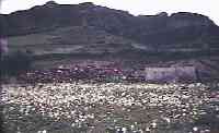 fortress